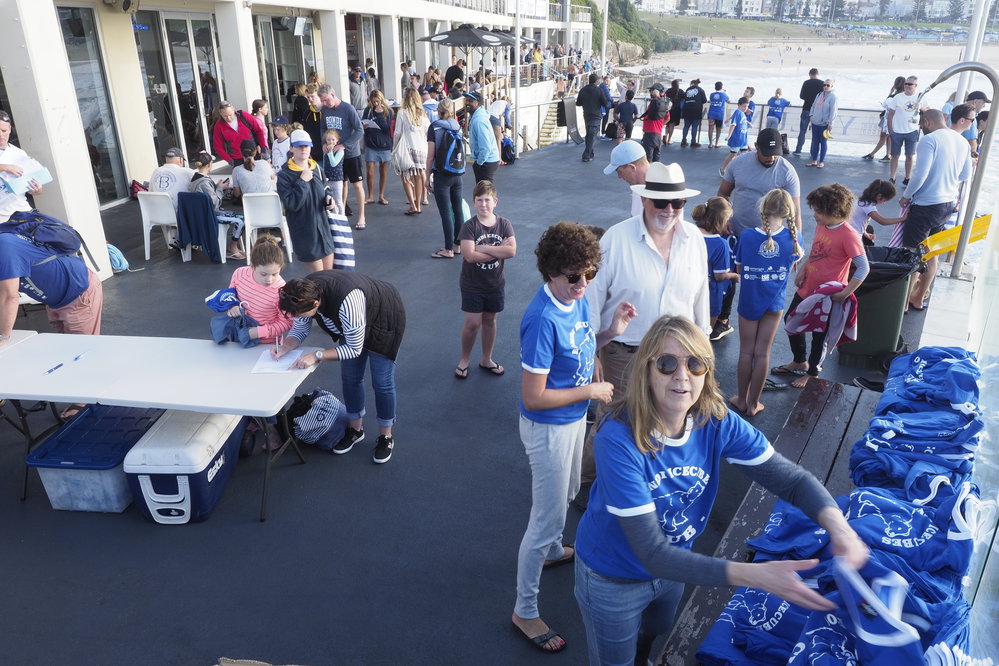 Icecubes Opening Day 2019