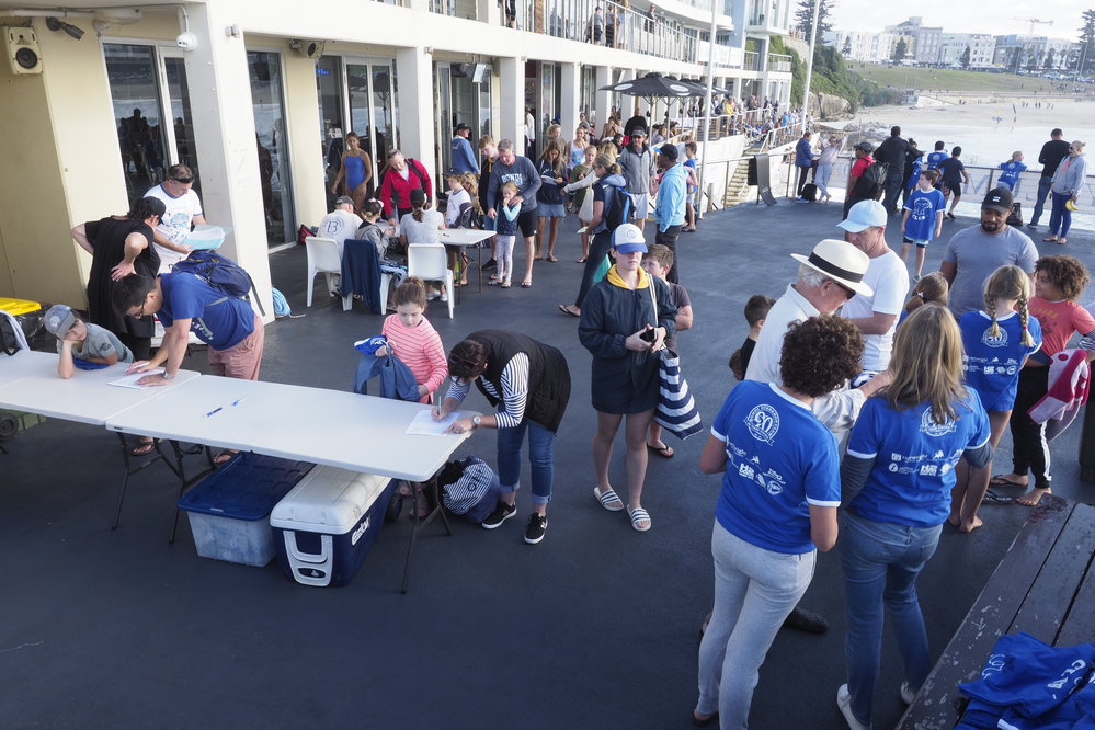 Icecubes Opening Day 2019