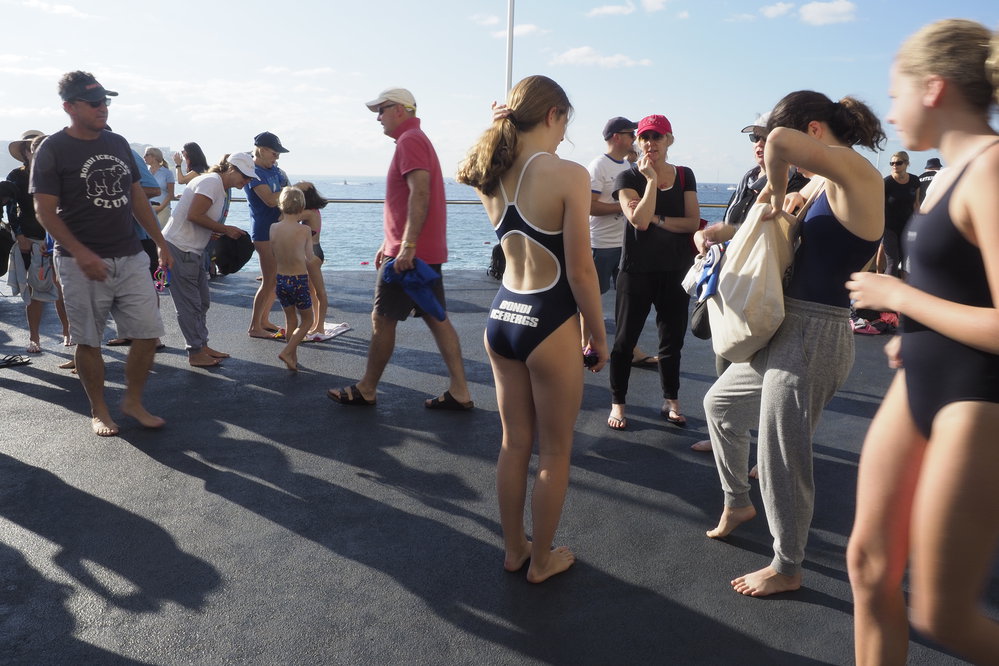 Icecubes Opening Day 2019