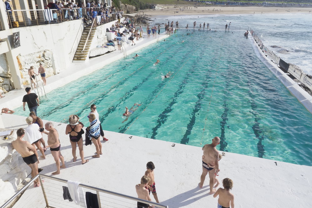 Icecubes Opening Day 2019