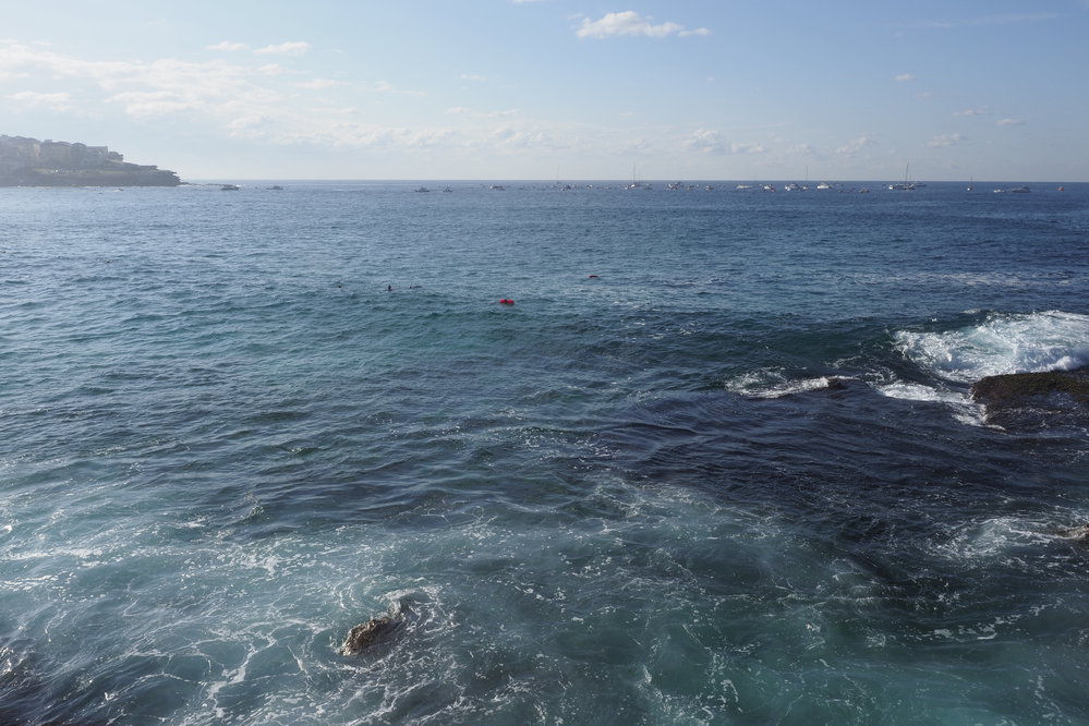 Icecubes Opening Day 2019