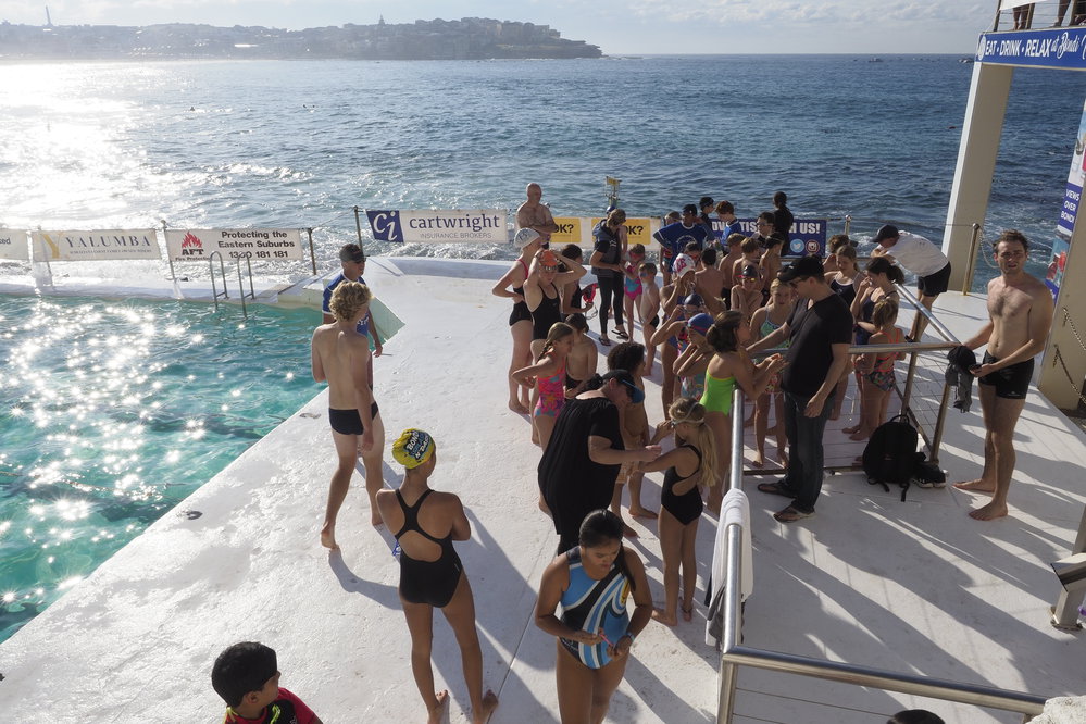 Icecubes Opening Day 2019