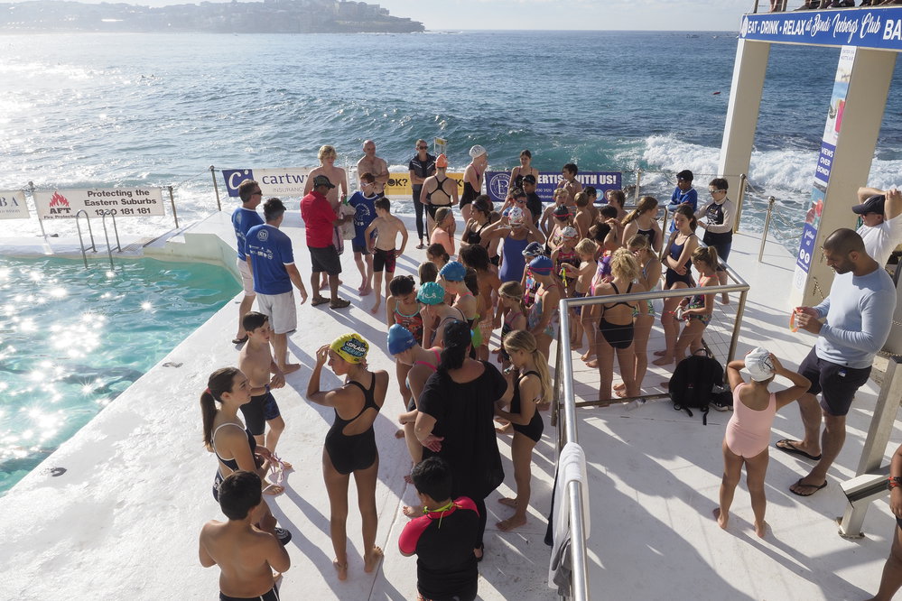 Icecubes Opening Day 2019