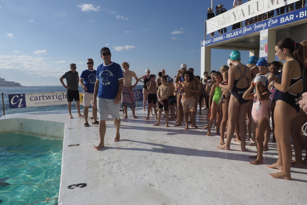 Icecubes Opening Day 2019