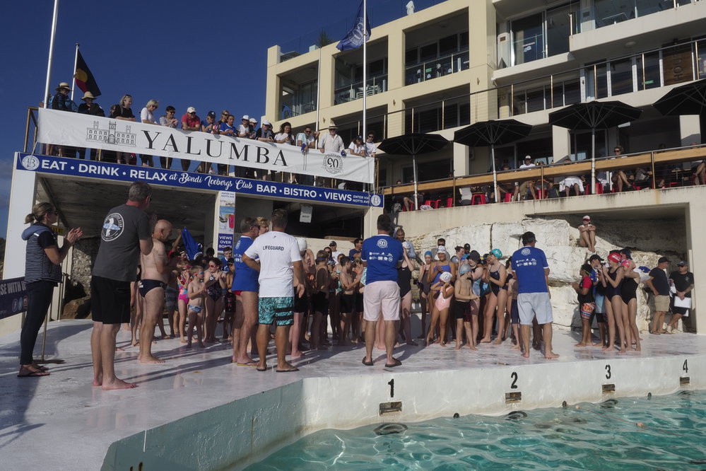 Icecubes Opening Day 2019