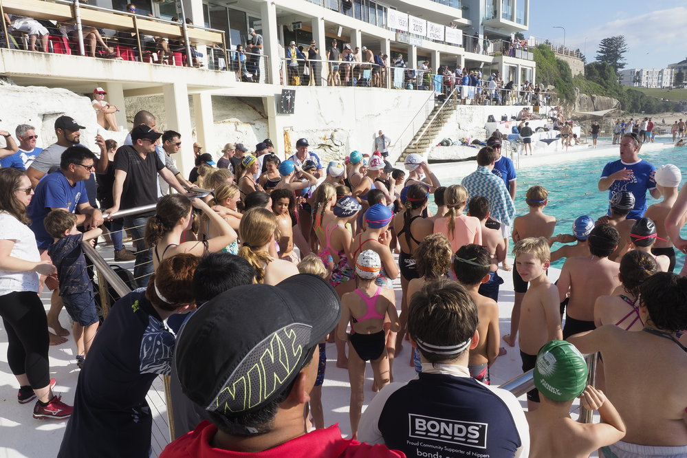 Icecubes Opening Day 2019