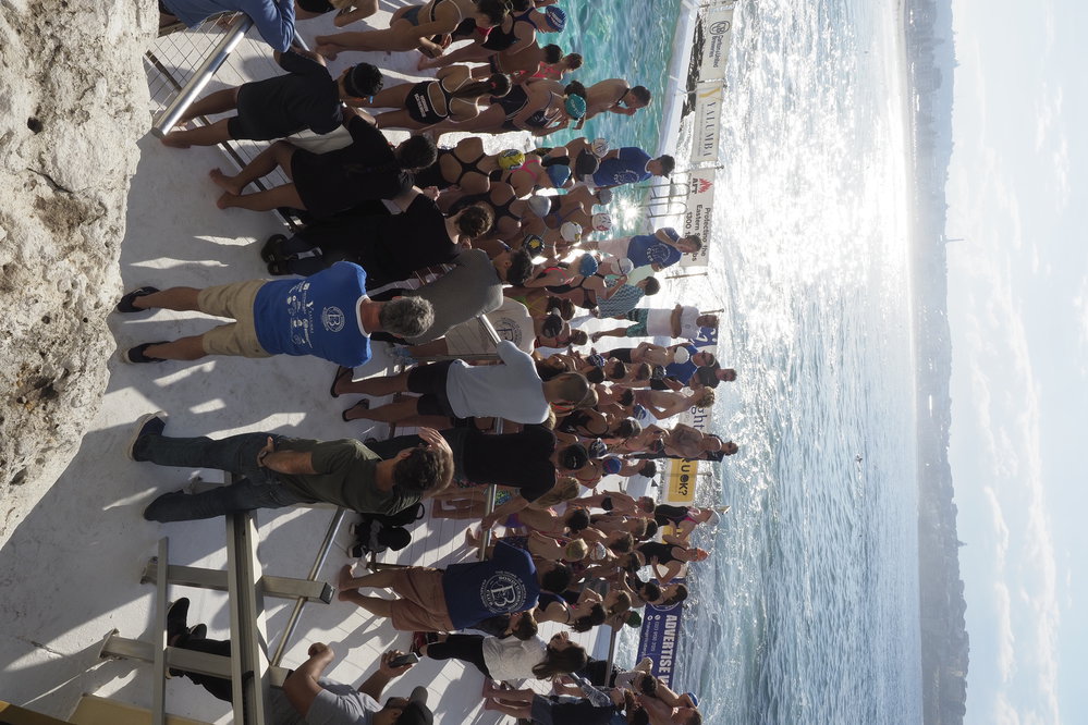 Icecubes Opening Day 2019