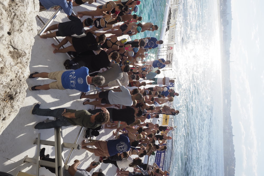 Icecubes Opening Day 2019