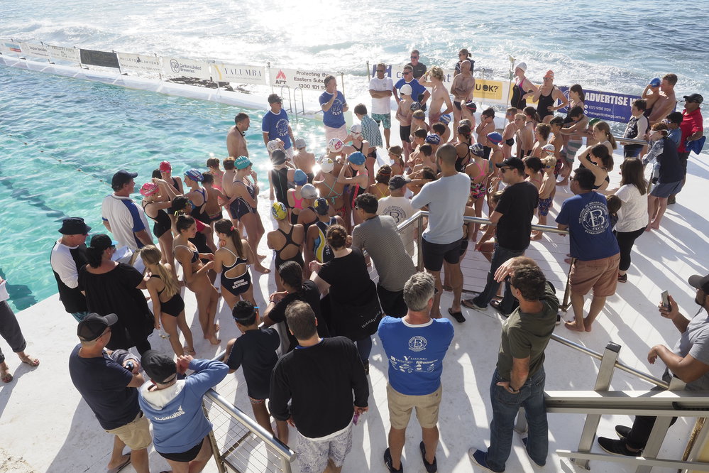 Icecubes Opening Day 2019