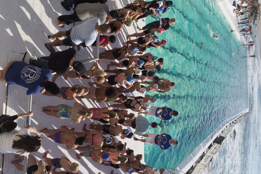 Icecubes Opening Day 2019