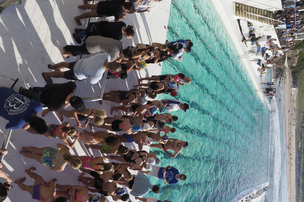 Icecubes Opening Day 2019