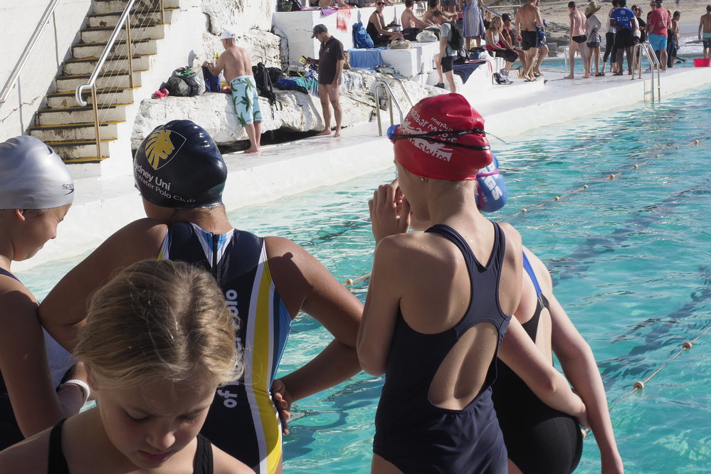 Icecubes Opening Day 2019