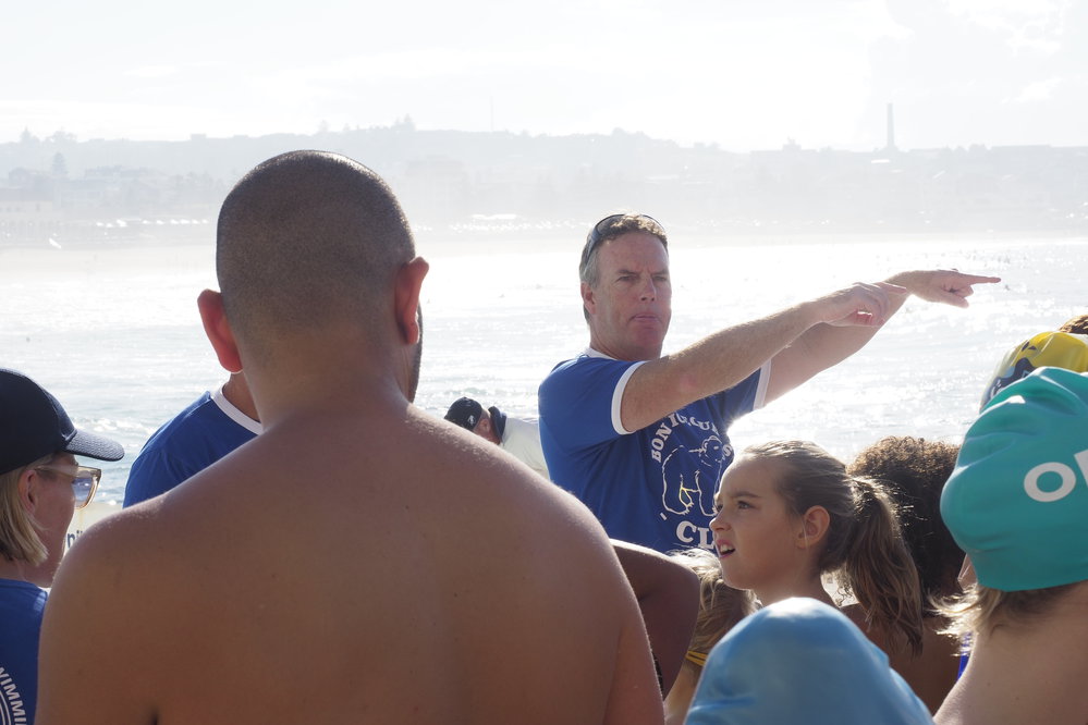 Icecubes Opening Day 2019