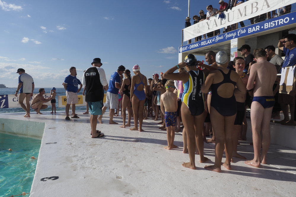 Icecubes Opening Day 2019