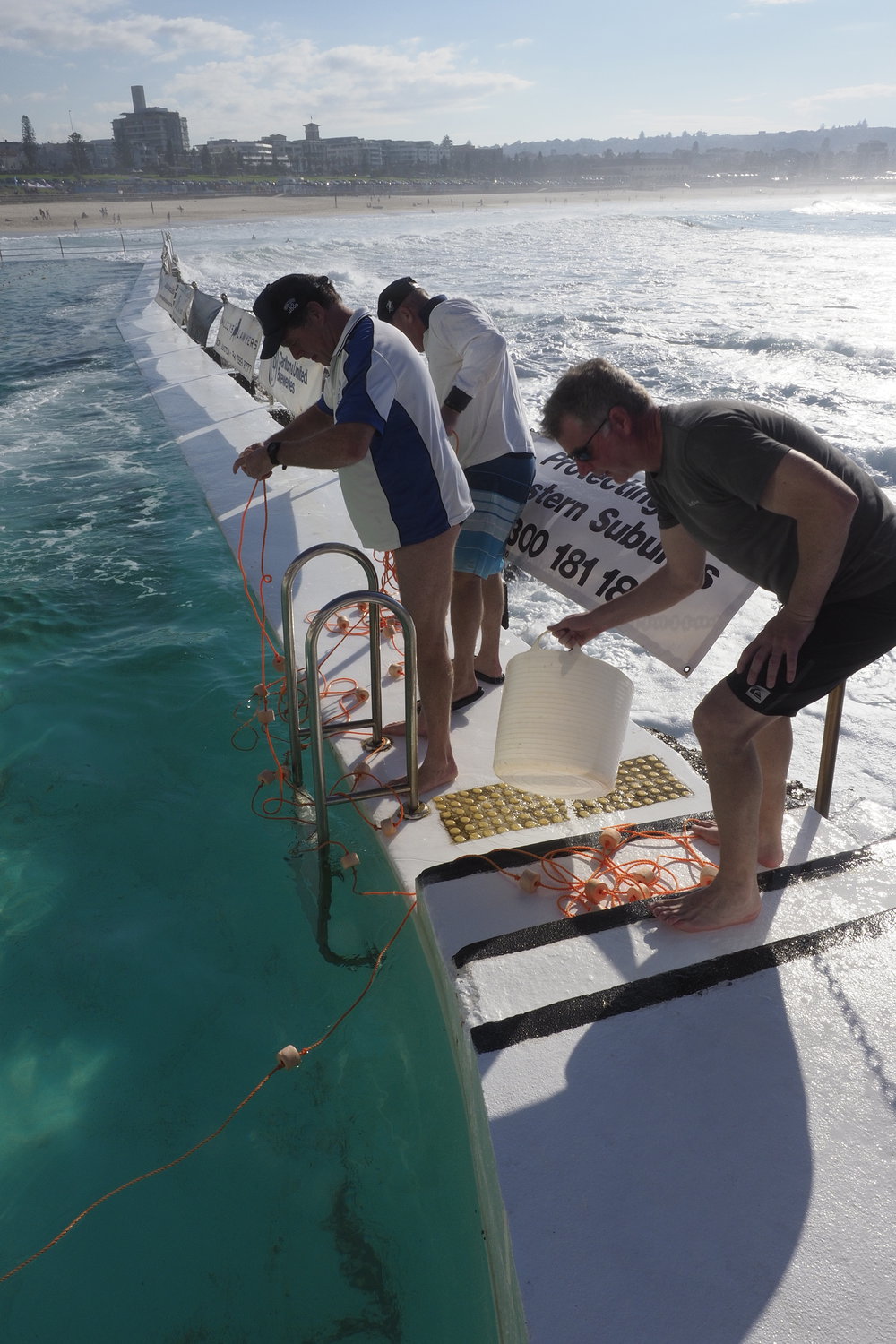 Icecubes Opening Day 2019