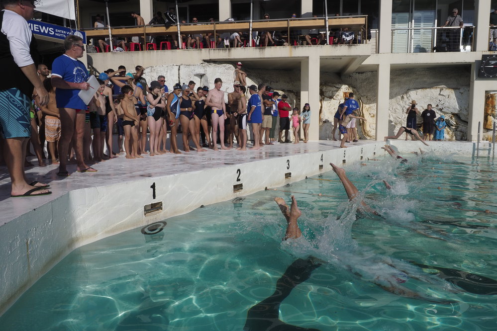 Icecubes Opening Day 2019