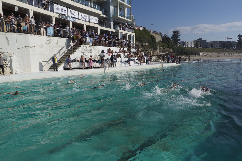 Icecubes Opening Day 2019