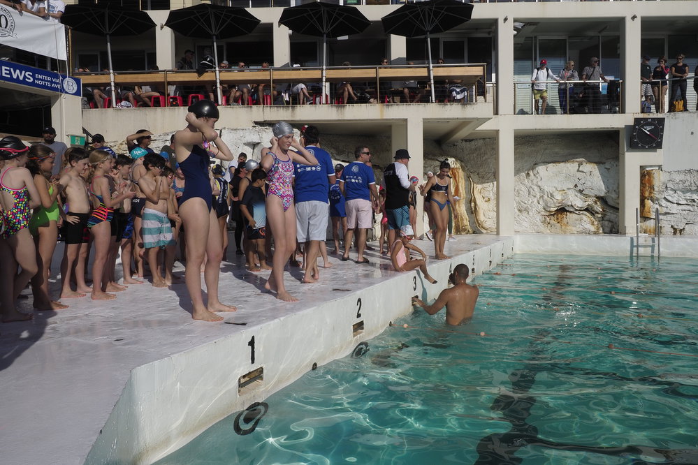 Icecubes Opening Day 2019