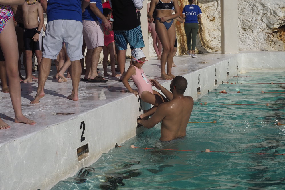 Icecubes Opening Day 2019