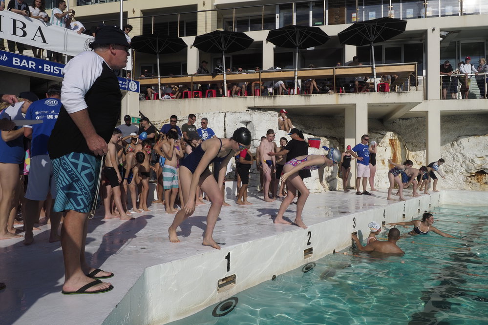 Icecubes Opening Day 2019