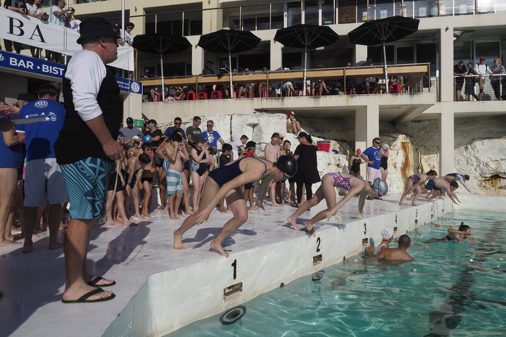 Icecubes Opening Day 2019