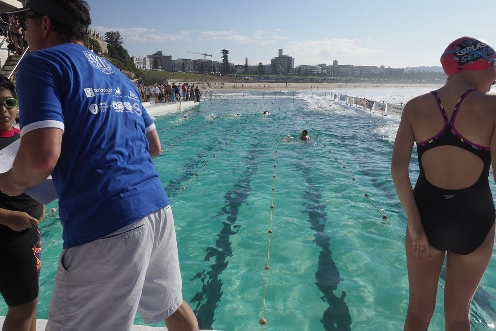 Icecubes Opening Day 2019