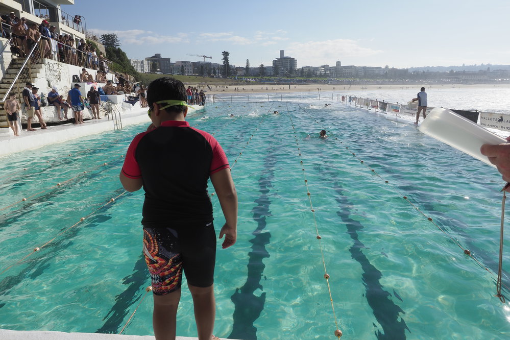 Icecubes Opening Day 2019