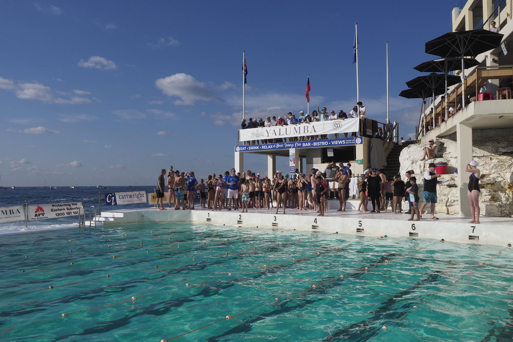 Icecubes Opening Day 2019