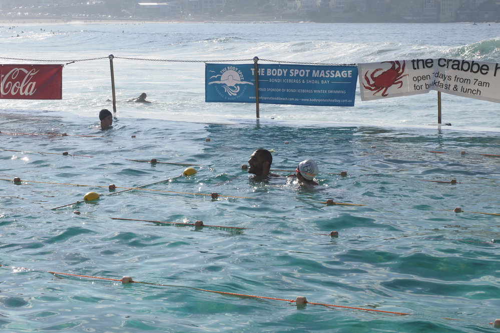 Icecubes Opening Day 2019