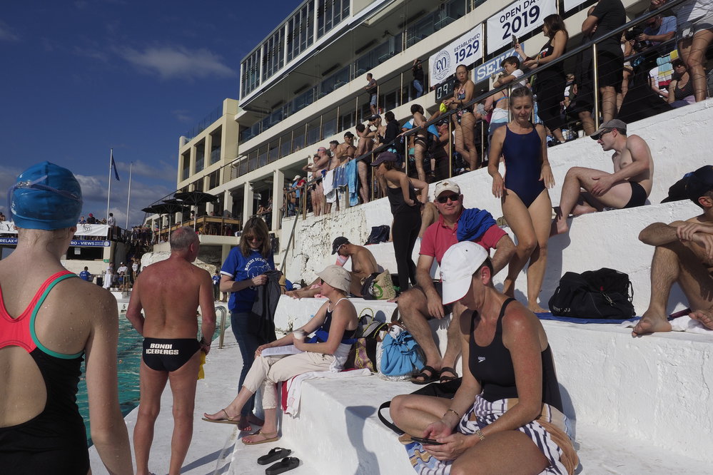 Icecubes Opening Day 2019