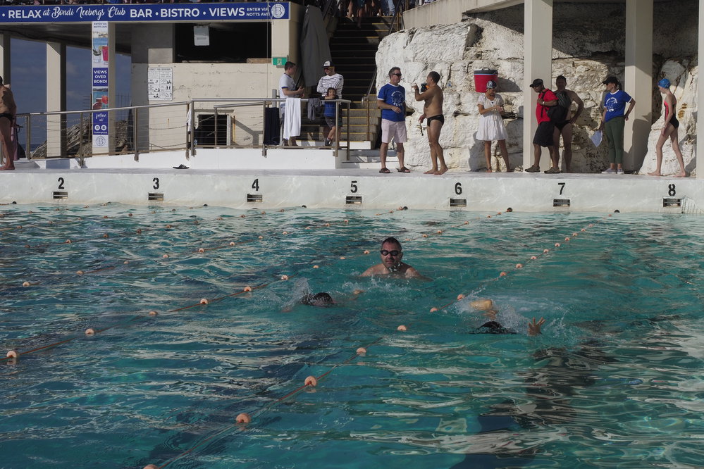 Icecubes Opening Day 2019