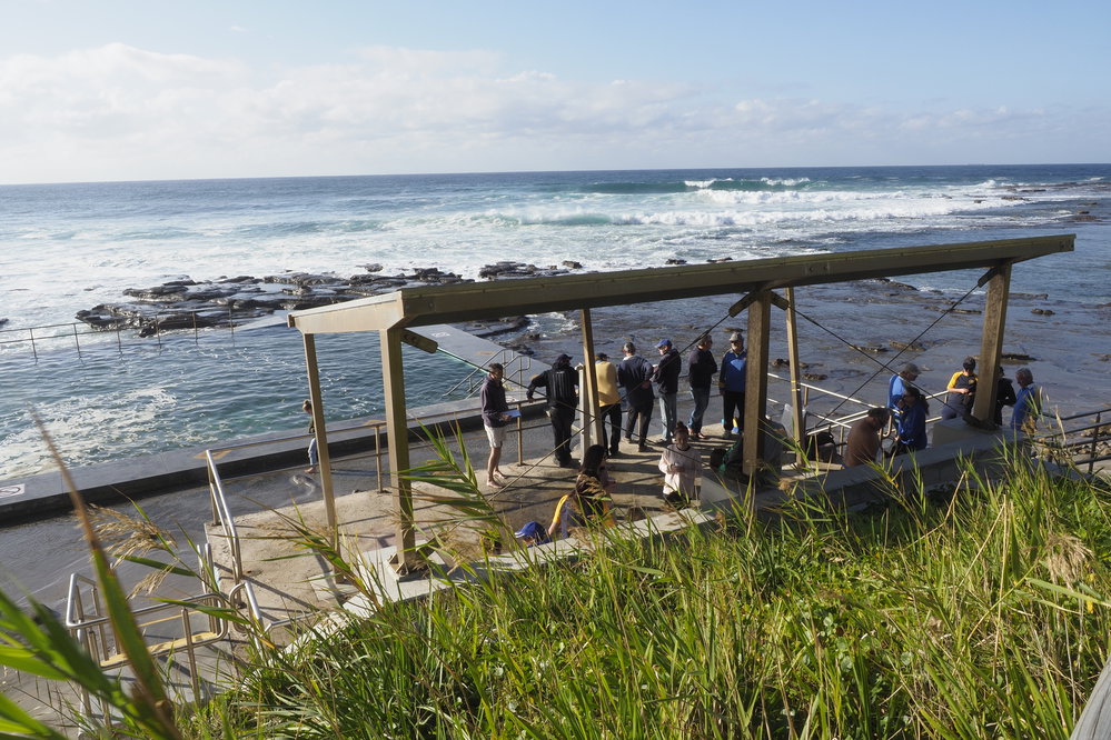 Away Swims ladies 2019