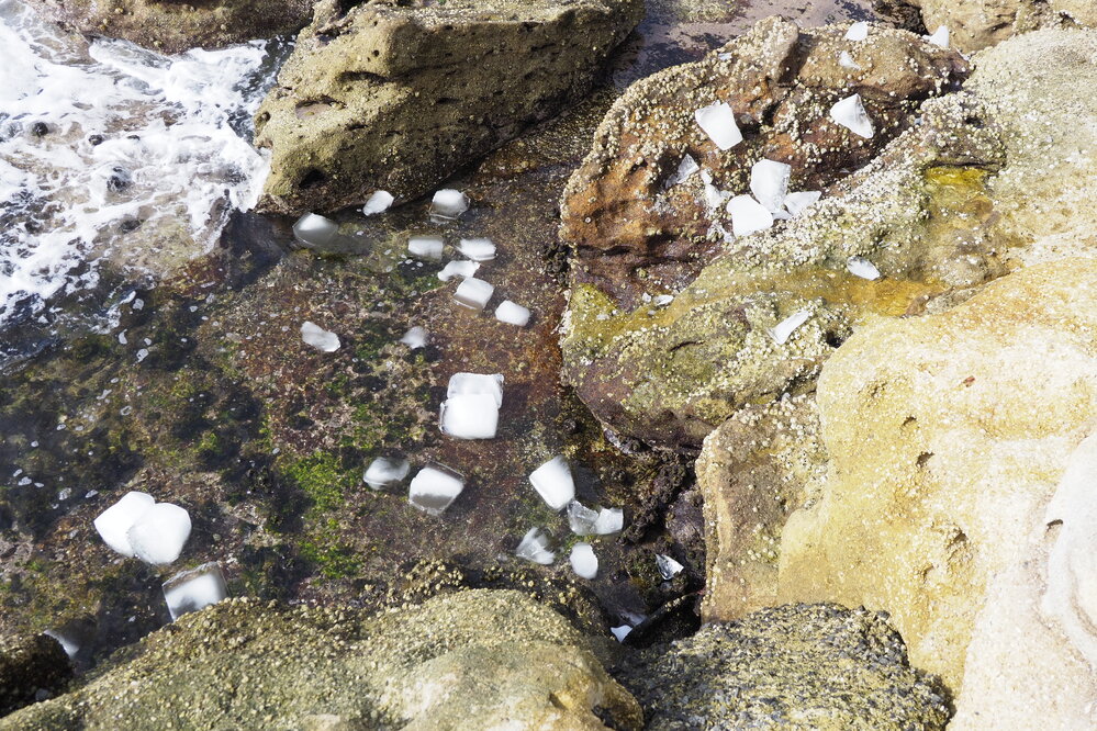 Bondi Icebergs Opening Day 02.05.2021