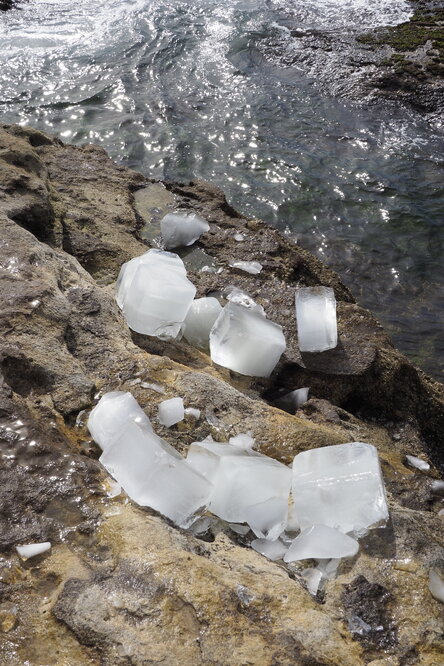 Bondi Icebergs Opening Day 02.05.2021