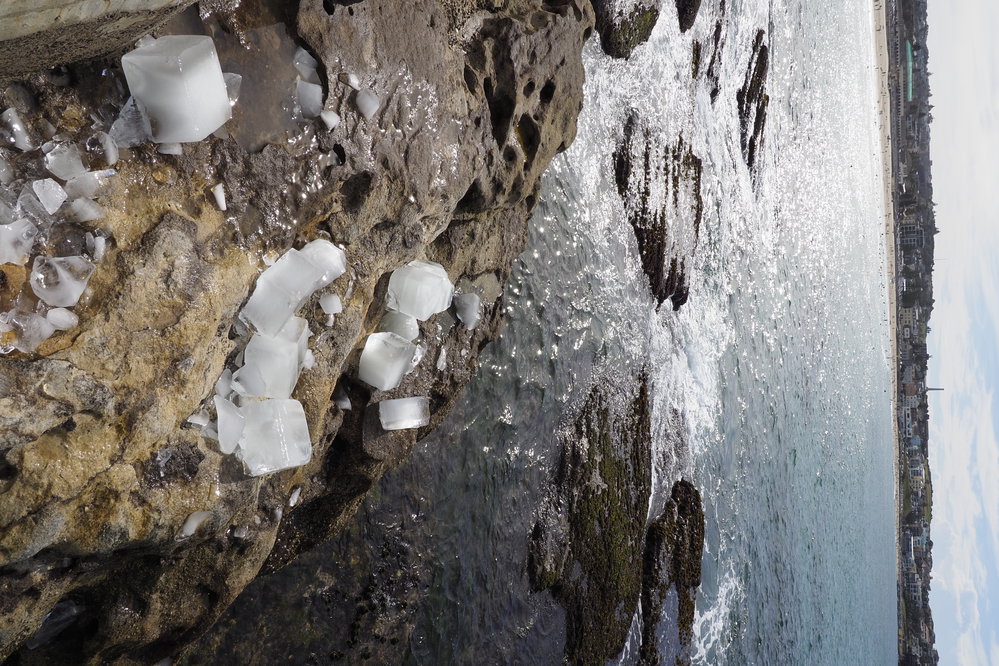 Bondi Icebergs Opening Day 02.05.2021