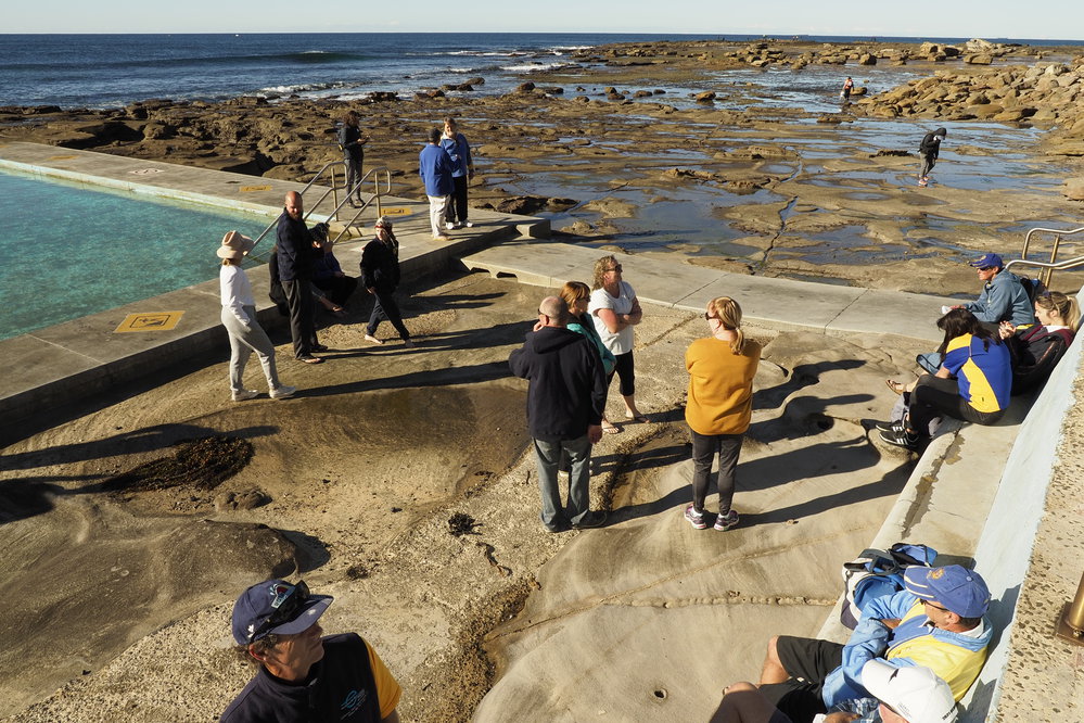 BIC Ladies away swim Stanwell Park 2021
