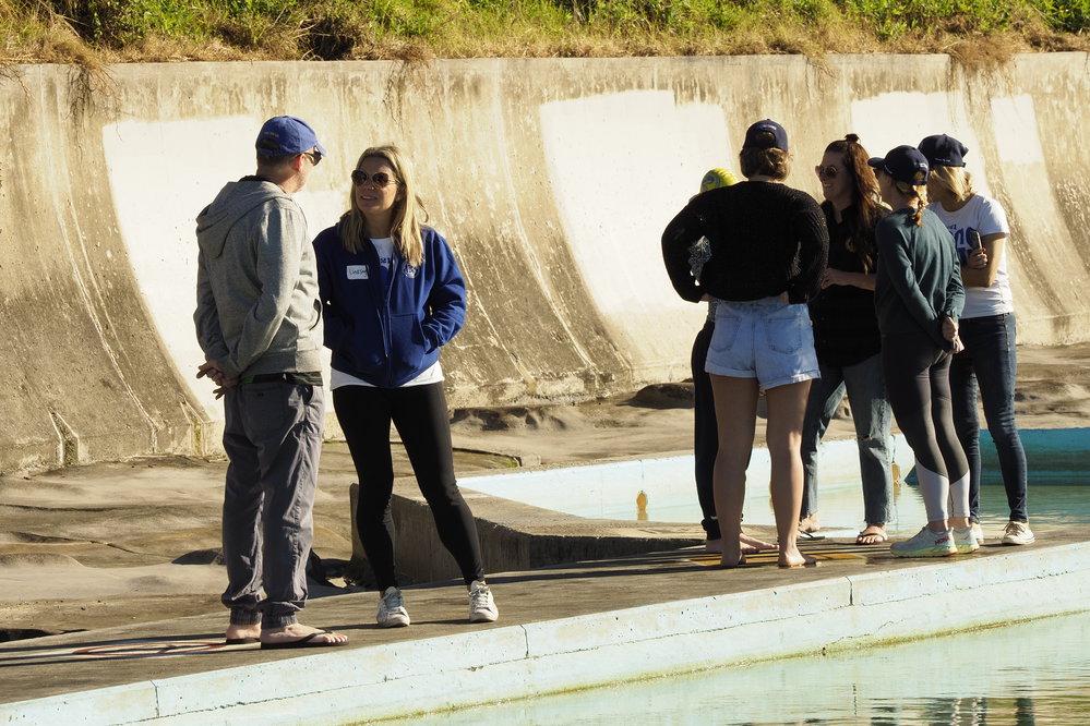 BIC Ladies away swim Stanwell Park 2021