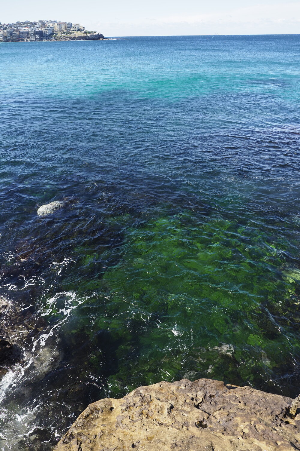 BIC_Syd_Invitational_Meet_28.07.2024_1550