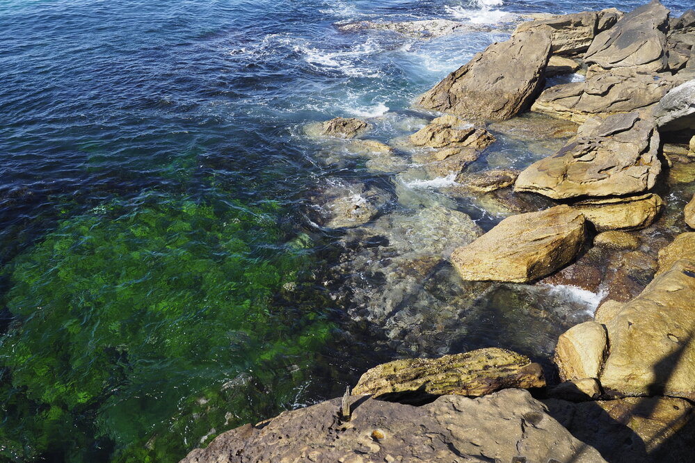 BIC_Syd_Invitational_Meet_28.07.2024_1548