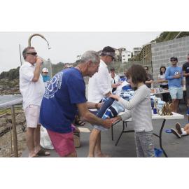 Icecubes Presentation Day 24.11.2019