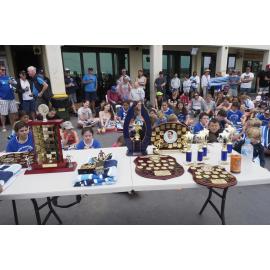 Icecubes Presentation Day 24.11.2019