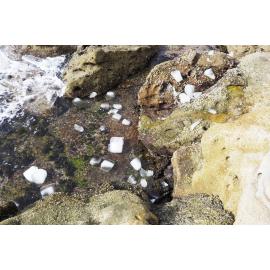 Bondi Icebergs Opening Day 02.05.2021