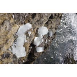 Bondi Icebergs Opening Day 02.05.2021