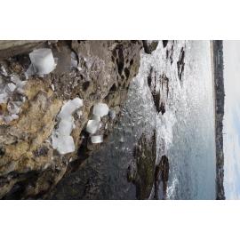 Bondi Icebergs Opening Day 02.05.2021