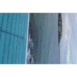 Bondi Icebergs Opening Day 02.05.2021