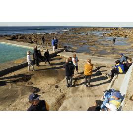 BIC Ladies away swim Stanwell Park 2021