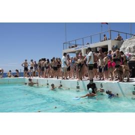 Bondi Icecubes Presentation Day 26th November 2023