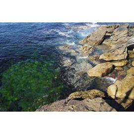 BIC_Syd_Invitational_Meet_28.07.2024_1548