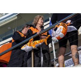 Sydney Invitational Meet 27.07.2025