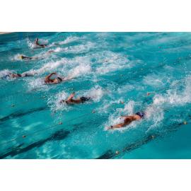 Sydney Invitational Meet 27.07.2025